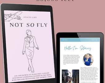 Puede incluir: Una ilustración en blanco y negro de una azafata de vuelo sobre un fondo rosa con el título "Not So Fly" y el texto "Ups and downs at 35,000 feet: A flight attendant's personal journey in the skies, with tips for travellers and aspiring crew".