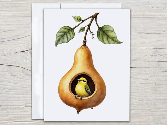 Cute Bird Notecard Set, Handmade Cards, Everyday Card Pack, Miss You Card, Just Because Card, Greeting Cards, All Occasion Card Set, EC101