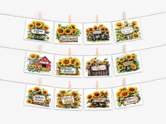 Watercolor Sunflower Notecard Set, Blank Greeting Cards Pack, All Occasion, Card Assortment, Just Because Cards, Sunflower Thank You, CS250