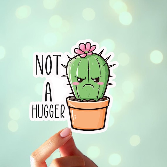 Not a Hugger Cactus, Angry Kawaii Sticker, Custom Name, Sarcasm Sticker, Vinyl, Introvert, Sassy Stickers, Self Care Sticker, Personalized