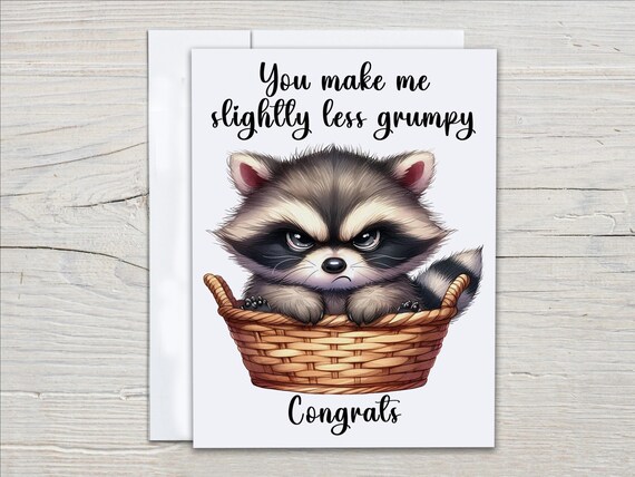 Raccoon Notecard Set – Funny Trash Panda Cards, Woodland Animal Blank Note Cards, Wildlife Stationery, All Occasion Greeting Cards, EC393