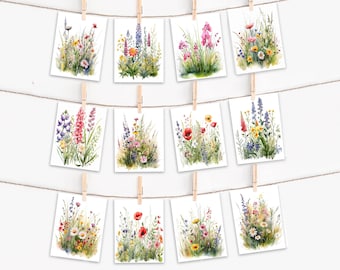 Card Assortment, Wildflower Meadow Bulk Cards, Birthday Card Pack, Thank You Cards, Blank Card, Anniversary Card, Watercolor Wildflower,CS38
