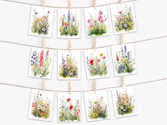 Card Assortment, Wildflower Meadow Bulk Cards, Birthday Card Pack, Thank You Cards, Blank Card, Anniversary Card, Watercolor Wildflower,CS38