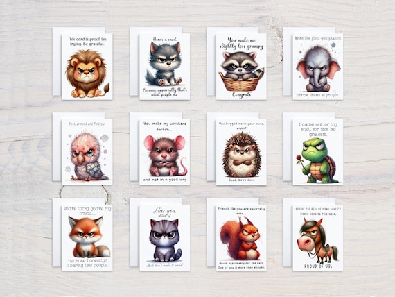 Grumpy Animal Card Assortment, Snarky Sayings Variety Pack, Get Well Soon Card, Everyday Notecard, Birthday Card, Funny Encouragement, CS336