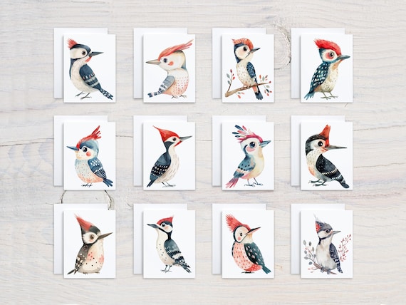 Assorted Notecards with Watercolor Woodpeckers, Card Assortment, Variety Pack, Get Well Soon Card, Just Because Cards, Everyday, Bday, CS222
