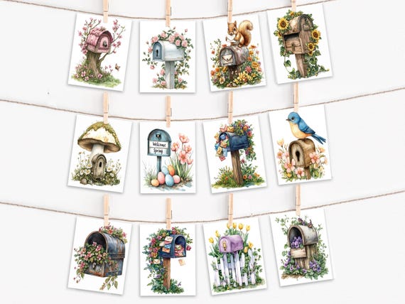 Assorted Cards, Cute Mailbox Card Assortment, Variety Pack, Birthday Card Pack, Notecard Set, Blank Notecards, Happy Birthday Card, CS53