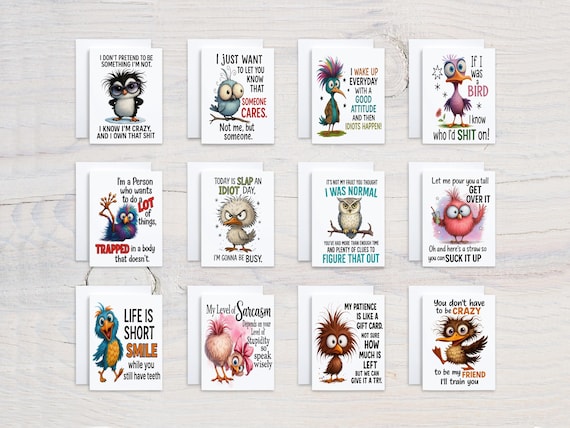 Funny Bird Notecard Set, Assorted Cards, Quotes About Life, Get Well Soon Card, Quirky Stationery, Birthday Card Pack, Everyday Card, CS309