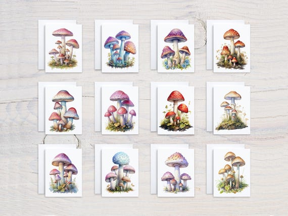 Mushroom Card Variety Pack, Card Assortment, All Occasion Cards, Blank Notecards, Notecard Set, Everyday Card, Just Because, CS116