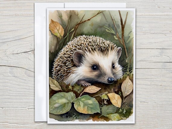 Cute Hedgehog Watercolor Card Set, Everyday Card, Miss You Card, Just Because Card, Birthday Card Pack, Blank Notecards, Aesthetic Card,EC53