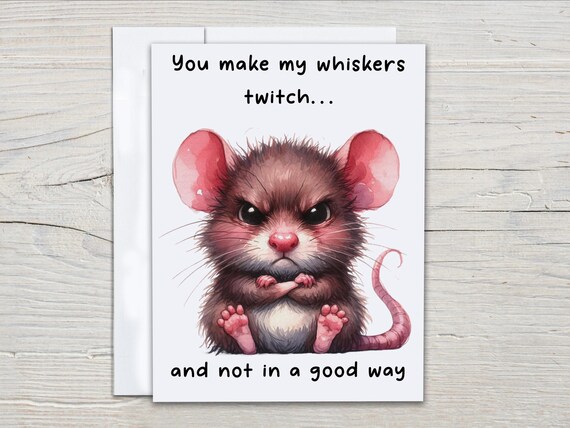 Grumpy Mouse Notecard Set – Funny Snarky Saying Cards, Cute Wildlife Greeting Cards, Field Mouse Stationery, All Occasion Note Cards, EC396