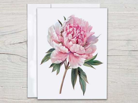Watercolor Peony Notecard Set, Cute Stationary Set, Correspondence, Thank You Card, All Occasion Cards, Snail Mail, Everyday, Bday, EC242