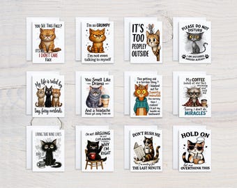 Snarky Cats Greeting Card Set, Card Assortment, Everyday Cards, Greeting Card Bundle, Notecard Set, Gift, All Occasion Cards, Variety, CS340