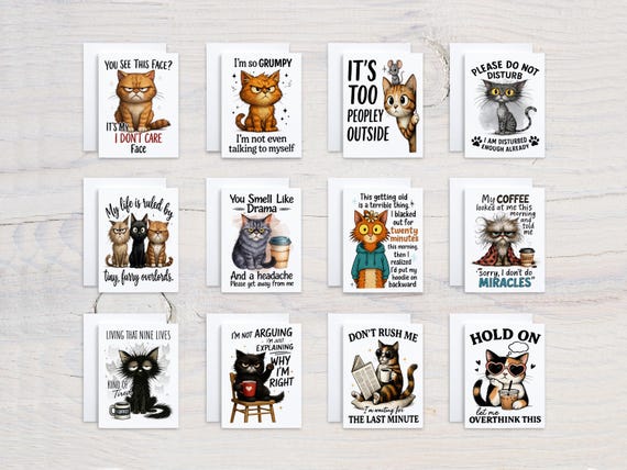 Snarky Cats Greeting Card Set, Card Assortment, Everyday Cards, Greeting Card Bundle, Notecard Set, Gift, All Occasion Cards, Variety, CS340