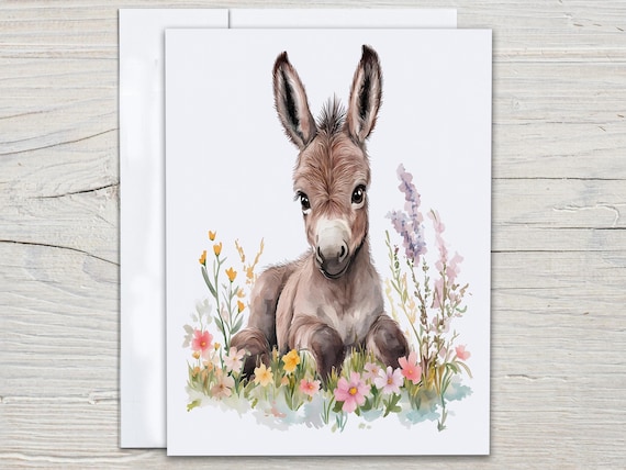 Baby Donkey Notecard Set, Cute Watercolor Donkey, Everyday Cards, Blank Notecards, Greeting Cards Sets, Just Because, All Occasion, EC373