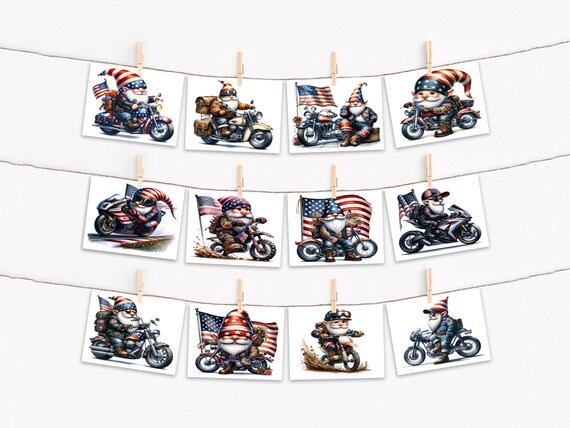 Patriotic Gnome Biker Notecards, Card Assortment, Fourth of July Cards, Memorial Day Cards, Everyday Card, Variety Pack, All Occasion, CS256