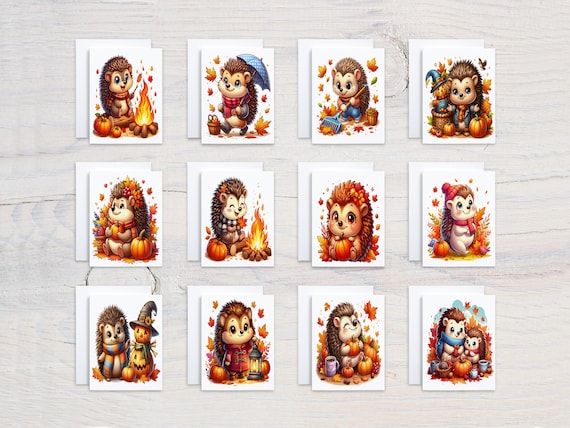Cute Hedgehog Notecard Set, Assorted Cards, Woodland Theme, Blank Notecards, Everyday Card, Just Because Card, All Occasion Cards, CS344