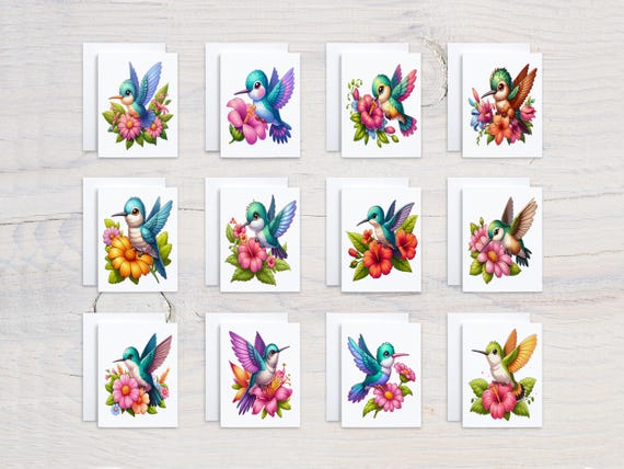 Cute Hummingbird Notecard Set, Assorted Cards, Variety Pack, All Occasion Cards, Get Well Soon Card, Birthday Card Pack, Thank You, CS221