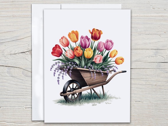 Wildflower Cards, Greeting Cards Sets, Thank You Card Pack, Everyday Card, Blank Notecard, Just Because Card, Bday Card for Her, EC147