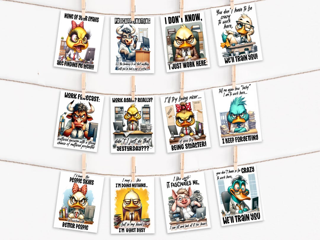 Funny Animal Card Assortment, Blank Notecards, Animal Notecard Set ...