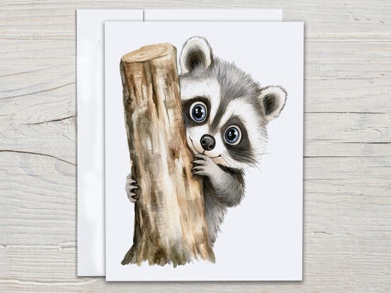 Kawaii Raccoon Card Set, Thank You Card Pack, Everyday Card, All Occasion Cards, Just Because Card, Snail Mail, Wildlife Card, EC146