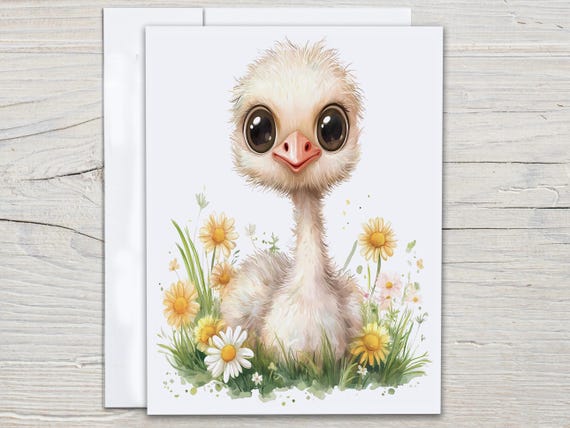 Watercolor Ostrich Notecard Set, Cute Ostrich Cards, Miss You Card, Snail Mail, Everyday Cards, All Occasion Cards, Printed Note Card, EC369