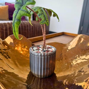 Self Watering Planter (Pack of 3): Visible Reservoir, Semi-Hydroponic Pot