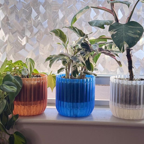 Self Watering Planter with Wick- Semi Hydro Transparent Pot | Visible Water Level, Indoor Planter, Unique Gift for Plant Lover
