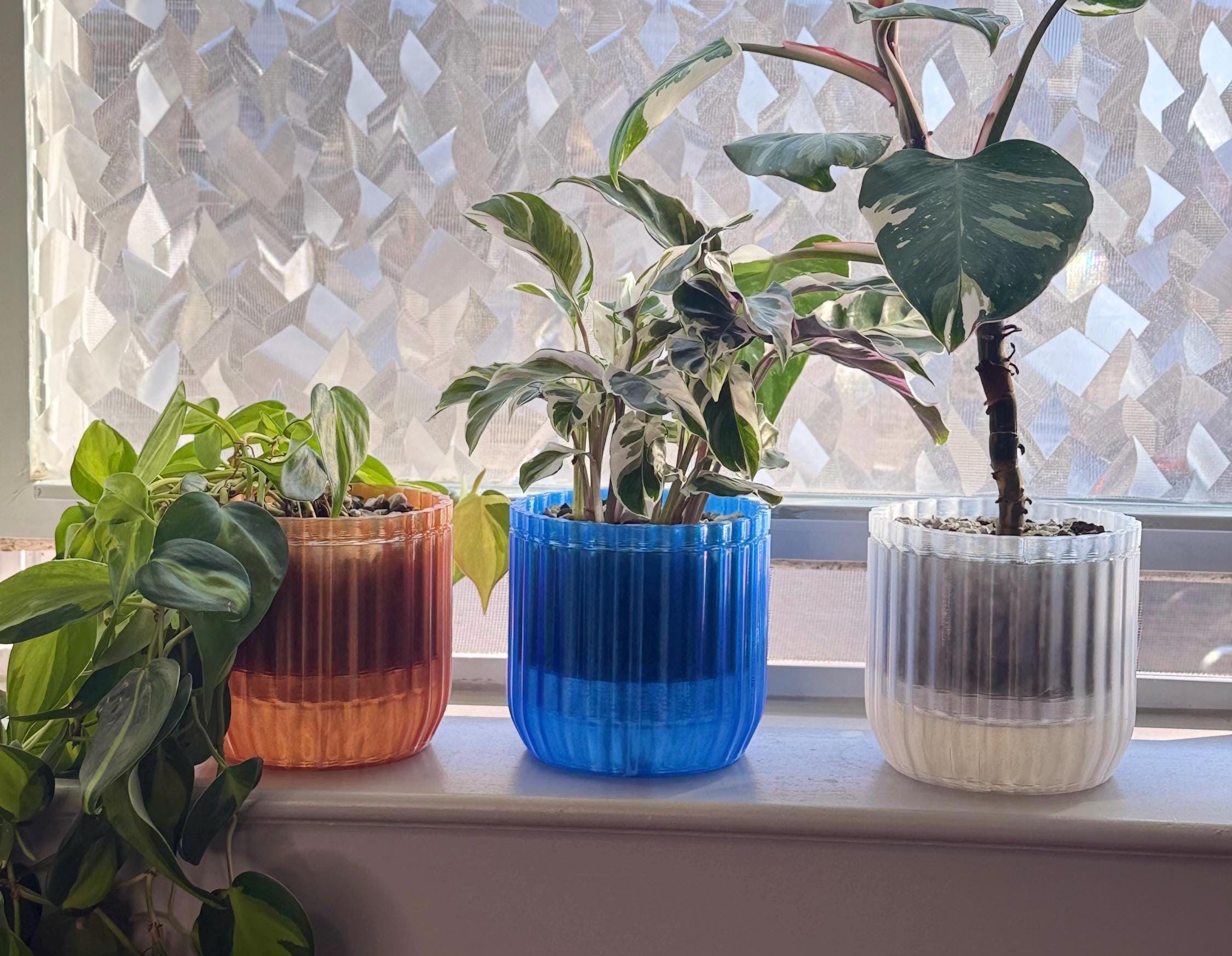 Bottom Watering for Plants Pots - Etsy