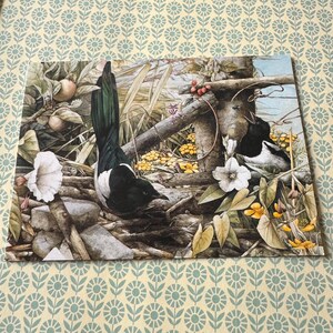 Carte postale vintage des années 90 Pie oiseau Marjolein Bastin Illustration 1010/060 Natuur
