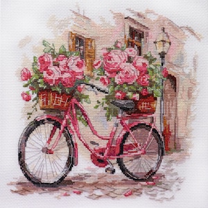 May include: A cross-stitch design of a pink bicycle overflowing with pink roses in baskets. The bicycle is parked on a cobblestone street in front of a building with windows and a street lamp. The scene is a charming, floral-themed artwork.