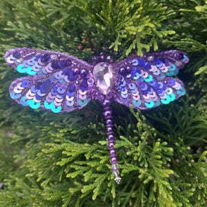 May include: A purple and blue dragonfly brooch with iridescent sequins and a large clear crystal in the center. The dragonfly is on a green leafy background.