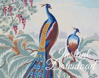 Instant Download Vintage Paint By Number Completed "Peacocks" 16FFFF Print Your Own Finished Painting