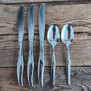 Pode incluir: Um conjunto de cinco peças de talheres em aço inoxidável, incluindo três facas e duas colheres, dispostas sobre uma superfície de madeira. Os talheres apresentam um padrão floral decorativo nos cabos.