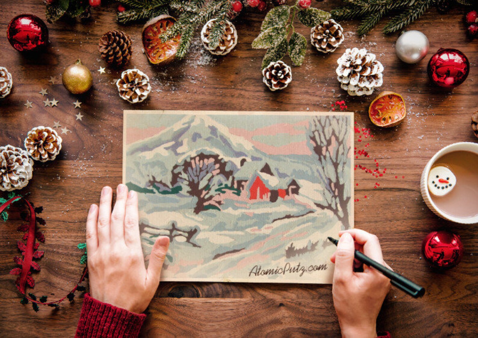 Printable Vintage Paint By Number Completed Snow | Etsy
