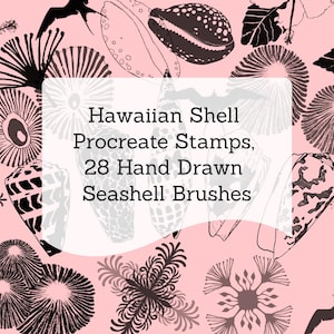 May include: A digital graphic featuring a light pink background with various black and white hand-drawn illustrations of seashells and tropical flora. Centered text reads: Hawaiian Shell Procreate Stamps, 28 Hand Drawn Seashell Brushes.