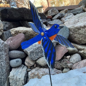 Whirligig Bluebird 7,75 po. L / Envergure 10 po. L image 10