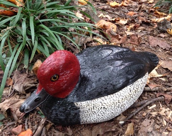 Hand Carved Redhead Drake Duck Decoy