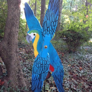 Macaw Whirligig