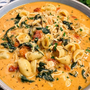 May include: A bowl of creamy tomato soup with orecchiette pasta, shredded chicken, spinach, and diced tomatoes. The soup is garnished with fresh parsley and served in a light blue bowl.