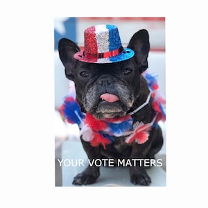 May include: A black French bulldog wearing a red, white, and blue sparkly hat and a red, white, and blue garland around its neck. The dog is sticking its tongue out and the text "YOUR VOTE MATTERS" is below the dog.