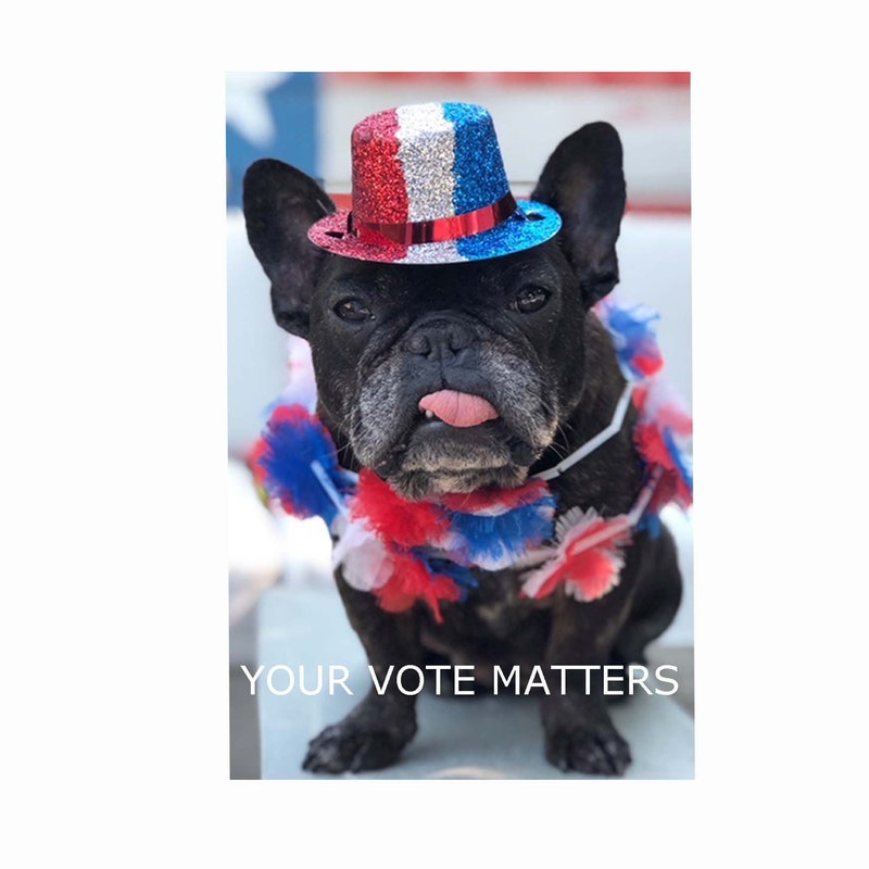Vote for Dogs - Etsy
