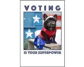 May include: A black French Bulldog wearing a red and blue superhero costume with a gold headband. The text "VOTING IS YOUR SUPERPOWER" is displayed above and below the dog.