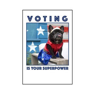 May include: A black French Bulldog wearing a red and blue superhero costume with a gold headband. The text "VOTING IS YOUR SUPERPOWER" is displayed above and below the dog.