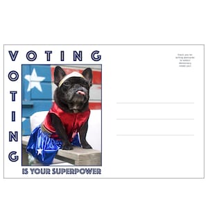 May include: A postcard with a black and white French bulldog wearing a Wonder Woman costume. The dog is sitting on a wooden bench in front of an American flag. The text "Voting is your superpower" is printed below the image. The text "Thank you for writing postcards to voters! Democracy needs you!" is printed in the top right corner.