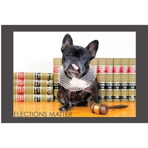 Elections Matter * RBG Inspired * Postcards to Voters * Patriotic Dog * Premium 16-pt Cardstock * Free Shipping image 1
