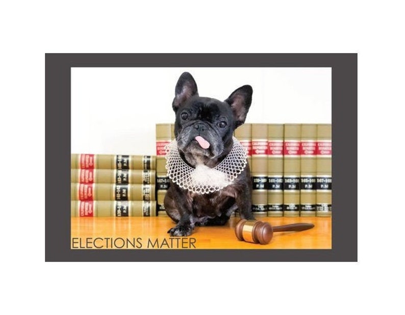Elections Matter * RBG Inspired * Postcards to Voters * Patriotic Dog * Premium 16-pt Cardstock * Free Shipping image 1