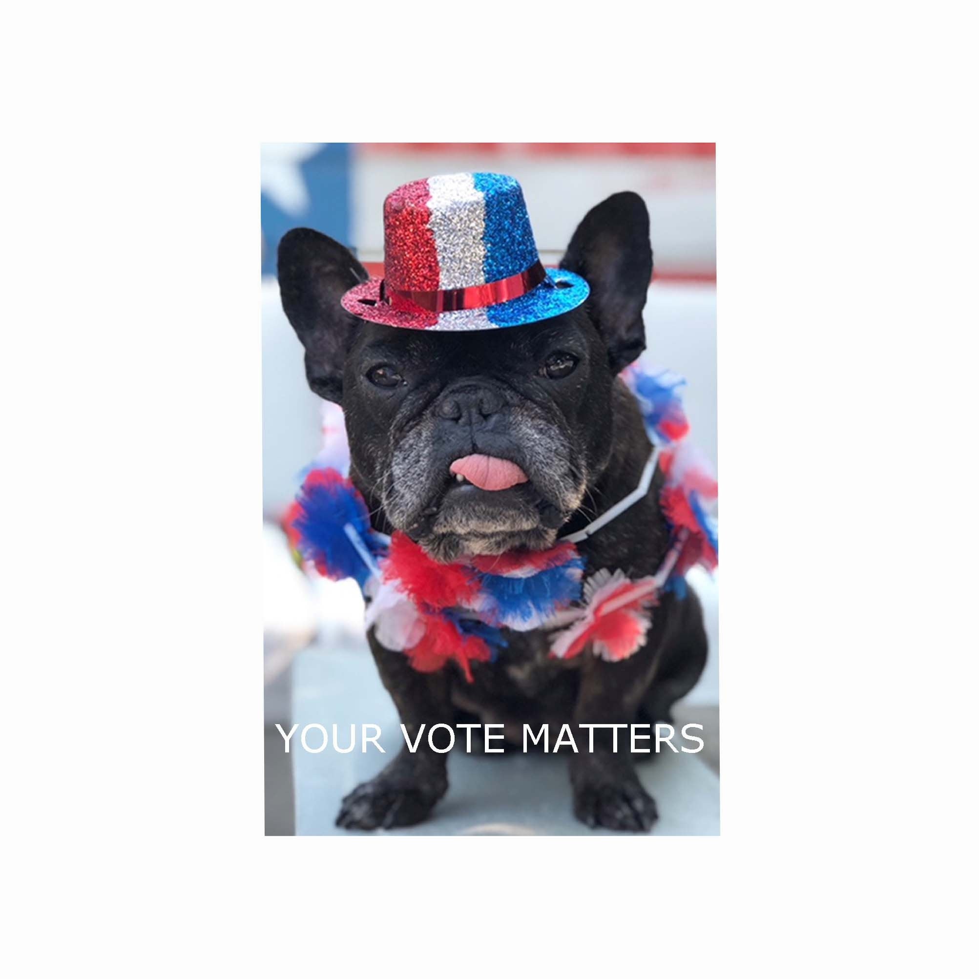 Your Vote Matters * Uncle Sam * Postcards to Voters * Patriotic Dog * Premium 16-pt Cardstock * Free Shipping