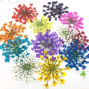 12Pcs Silicone Mould / Crystal Glue Partner Dry Flower for Diy Decoration Resin Bracelet/Ring/ Pendamt DT050 9 color for choosing image 1