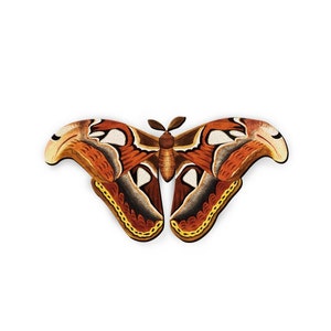 Wooden Butterfly Act Various Cute Charms, Handmade Laser Cut Wood Animals Pendants, Fit for Necklace Earrings Brooch (CW342)