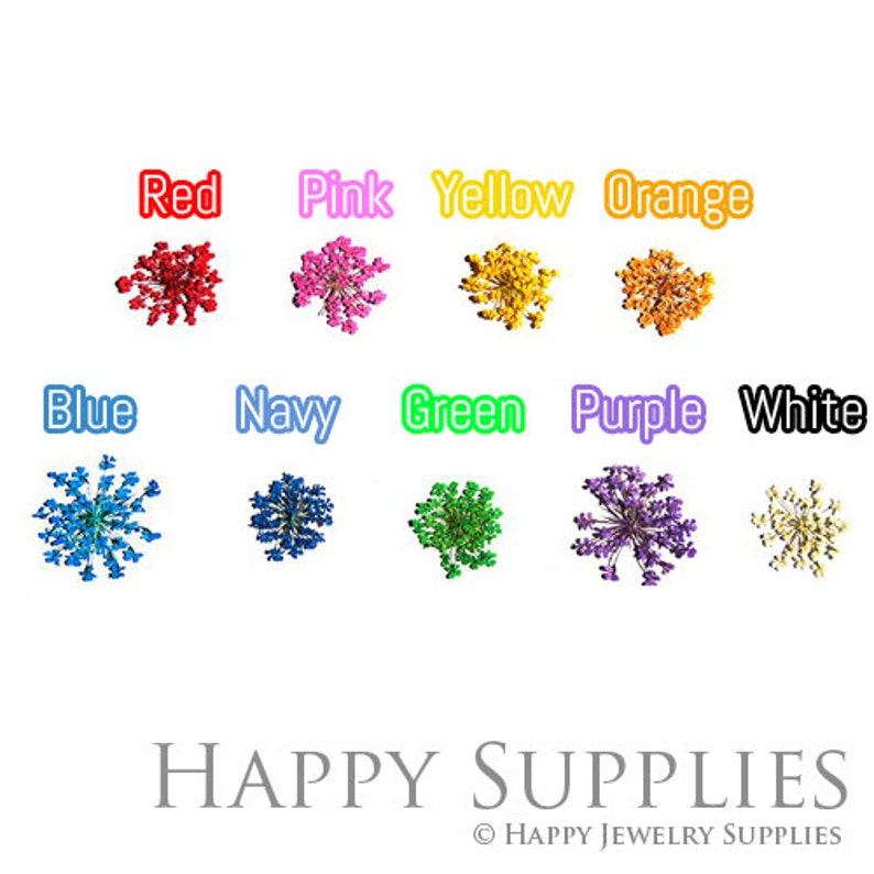 12Pcs Silicone Mould / Crystal Glue Partner Dry Flower for Diy Decoration Resin Bracelet/Ring/ Pendamt DT050 9 color for choosing image 2